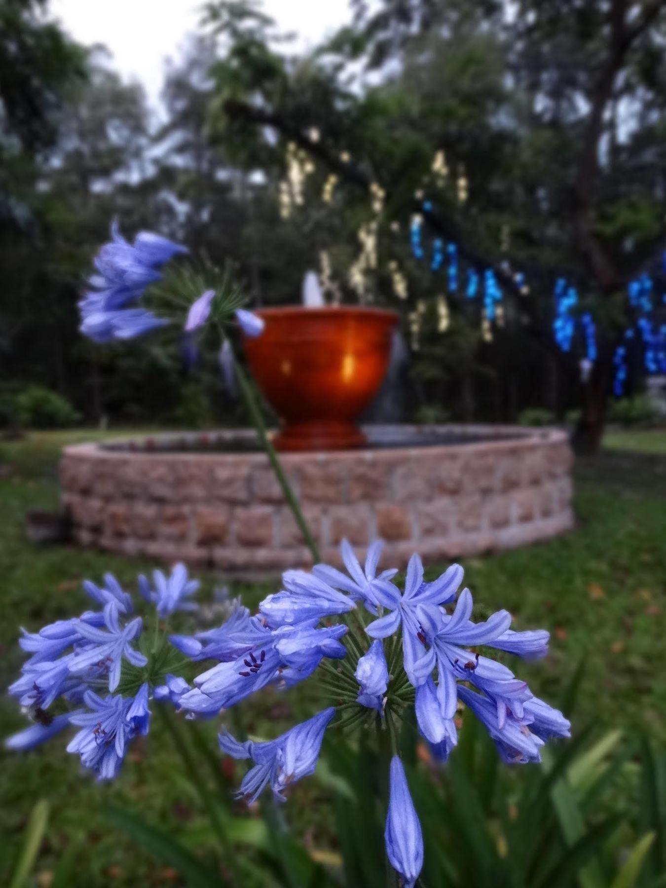 Noosa Valley Manor B&B Doonan Extérieur photo